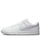 Nike Dunk Low Retro 'White Pure Platinum' DV0831-101