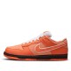 Nike SB Dunk Low 'Concepts Orange Lobster' FD8776-800